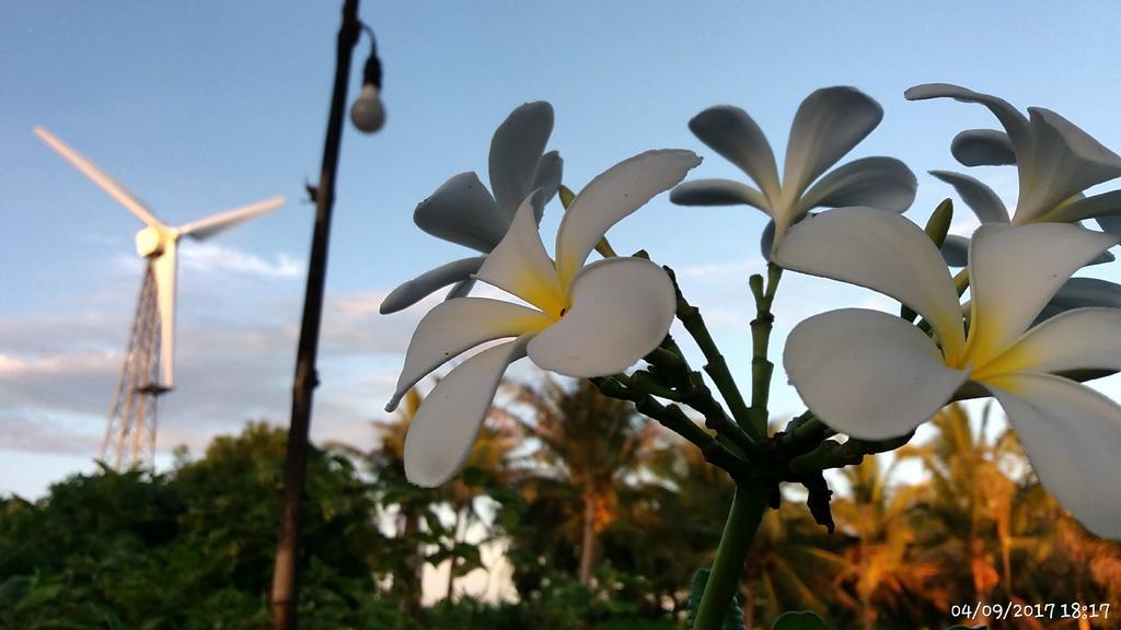 Rai Lung Tui Homestay Prachuap Khiri Khan Ngoại thất bức ảnh