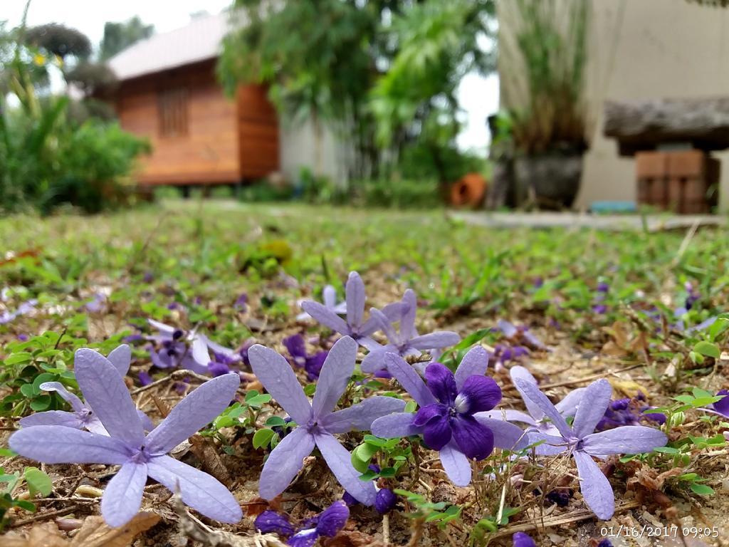 Rai Lung Tui Homestay Prachuap Khiri Khan Ngoại thất bức ảnh
