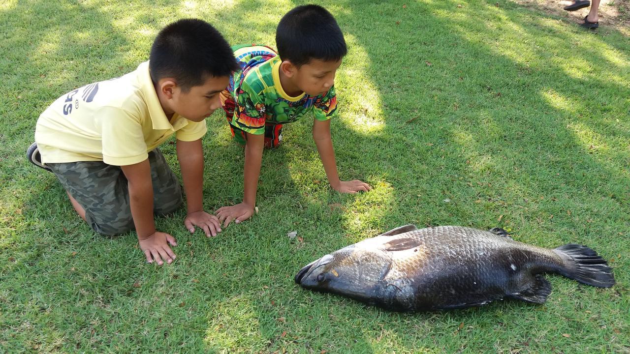 Rai Lung Tui Homestay Prachuap Khiri Khan Ngoại thất bức ảnh